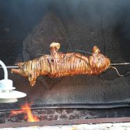 Malacsütés